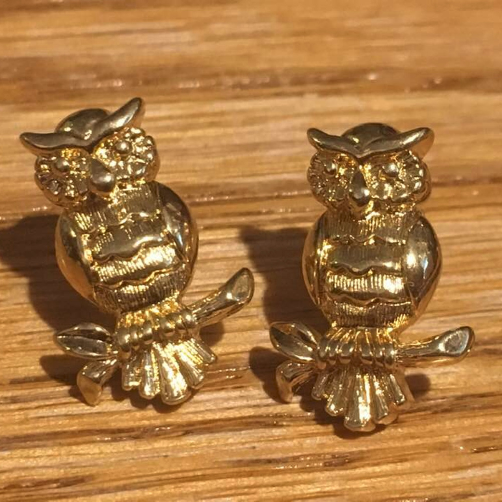Precious Gold Owl Pierced Earrings
